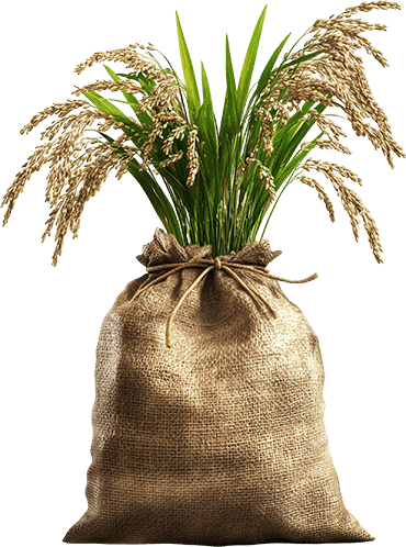 Fertilizer Products